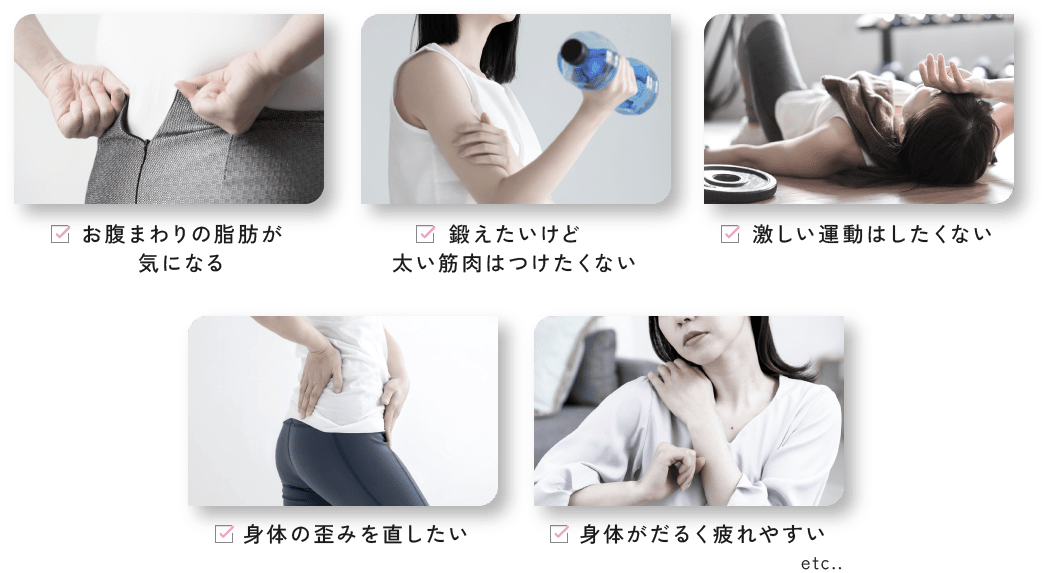 [お腹まわりの脂肪が気になる][鍛えたいけど太い筋肉はつけたくない][激しい運動はしたくない][身体の歪みを直したい][身体がだるく疲れやすい] etc..